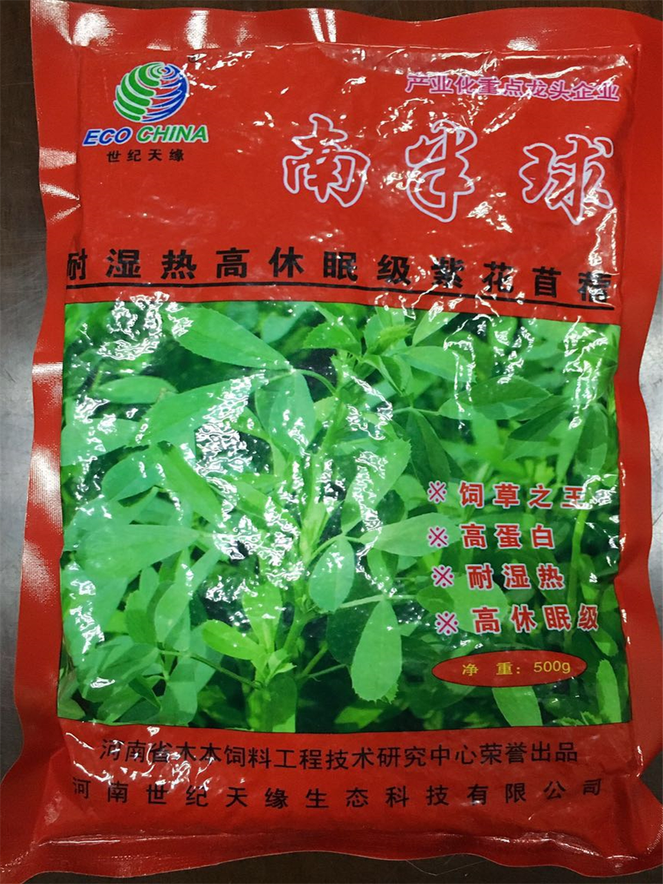 南方型紫花苜蓿